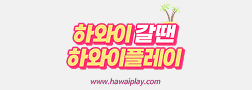 하와이플레이
