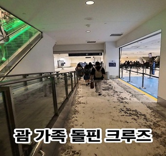 괌 돌핀 크루즈 가족 여행 완벽 가이드: 5인 가족 최적 좌석과 예약 노하우