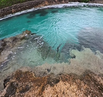 괌3박4일 에메랄드바다 돌핀크루즈 해양액티비티 여행팁