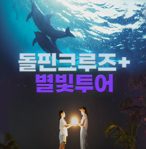 ★파격 이벤트★ 돌핀크루즈+별빛투어 콤보팩