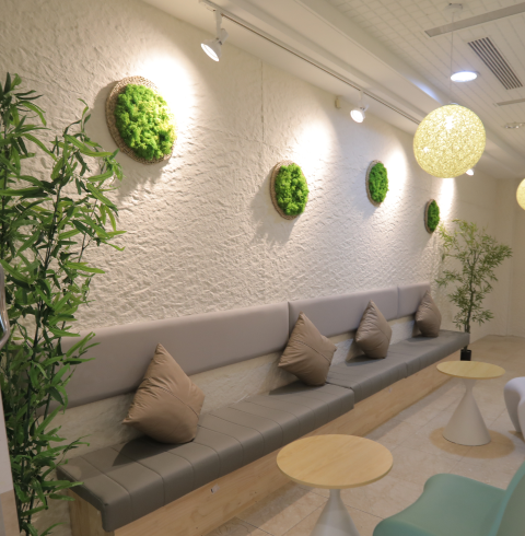 롯데 뱅텡 스파