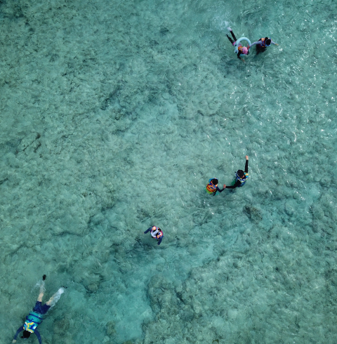 리티디안 프라이빗 비치 스노클링