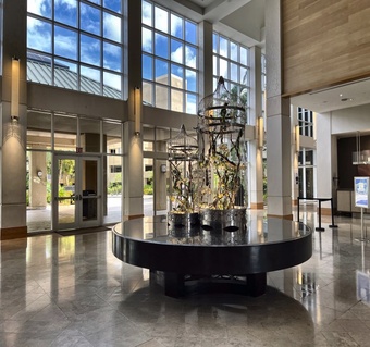 괌 힐튼 스파 아유아람 후기: 발리니즈 마사지로 여행 피로 완벽 해결