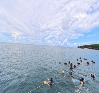 괌 신혼여행 물놀이 액티비티 선택 가이드: 돌핀 크루즈 vs 스노클링 완벽 비교