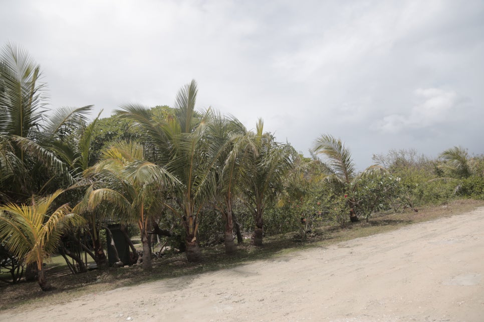 괌비행시간 여행 준비 정보 항공사 입국 절차 액티비티 렌트카