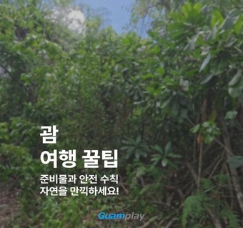 괌 여행 완벽 가이드: 필수 준비물부터 안전한 액티비티까지