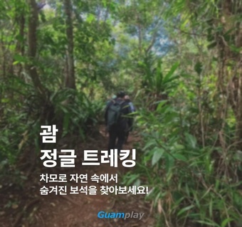 괌 정글 트레킹으로 만나는 차모로족 역사와 원시 자연 체험 