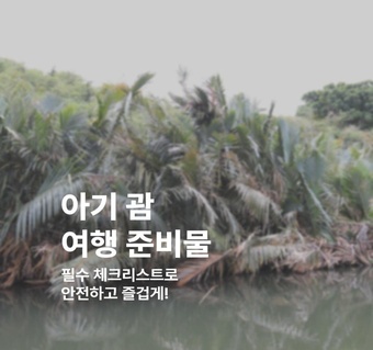 아기 괌 여행 필수 준비물 완전 가이드