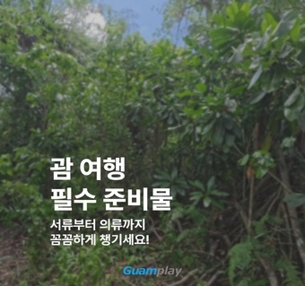 괌 여행 필수 준비물 완벽 가이드  놓치면 후회하는 체크리스트