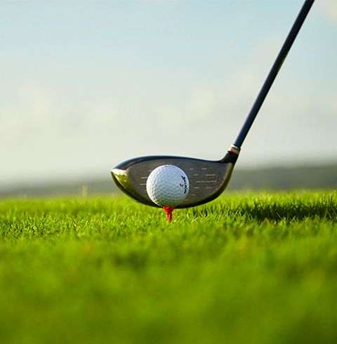 레오팔레스리조트 골프투어