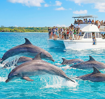 괌 돌핀크루즈 에메랄드밸리 돌고래 투어 스노쿨링 낚시 참치회 괌 해외여행 패키지