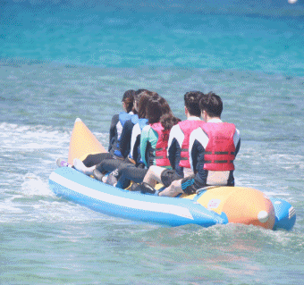 패밀리비치 돌핀투어+액티비티