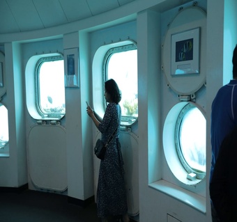 괌 돌핀크루즈 해중전망대 투어: 물에 젖지 않고 즐기는 완벽한 해양 체험